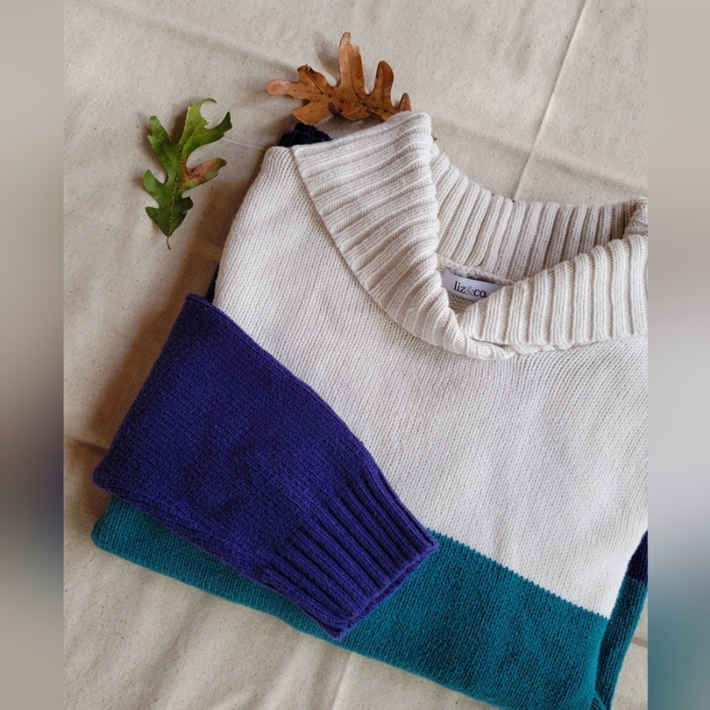 Liz & Co Color Block Stripe Sweater